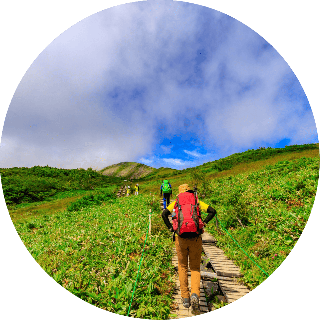 セラピー登山（森歩きなど）